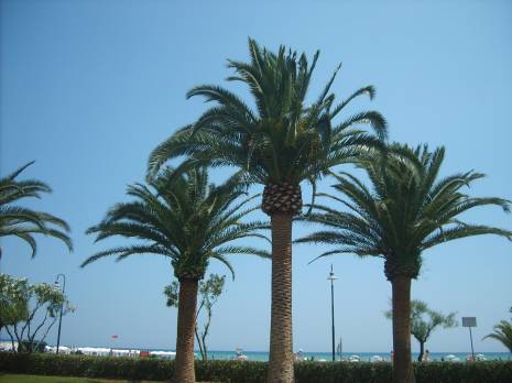 lungomare1